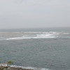 PXL_20250521_042459223.MP.jpg