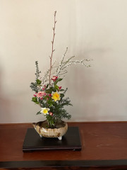 IMG_4500.jpg