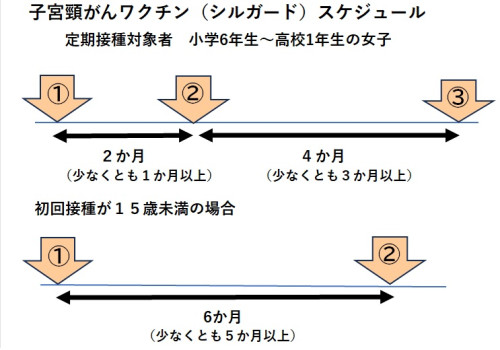 シルガード.jpg