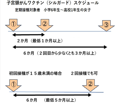 HPVスケジュール.png