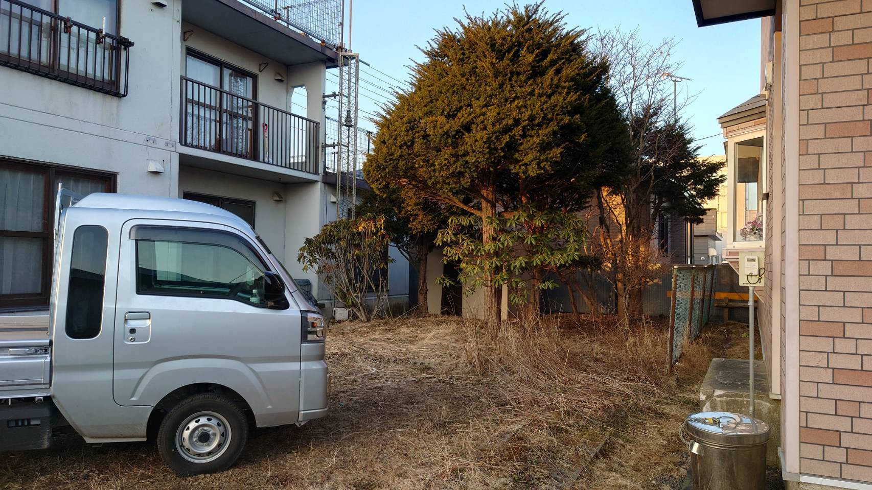 お庭の木の伐採　本数、太さ、立地条件などで料金が異なりますのでまずお気軽にお問い合わせください