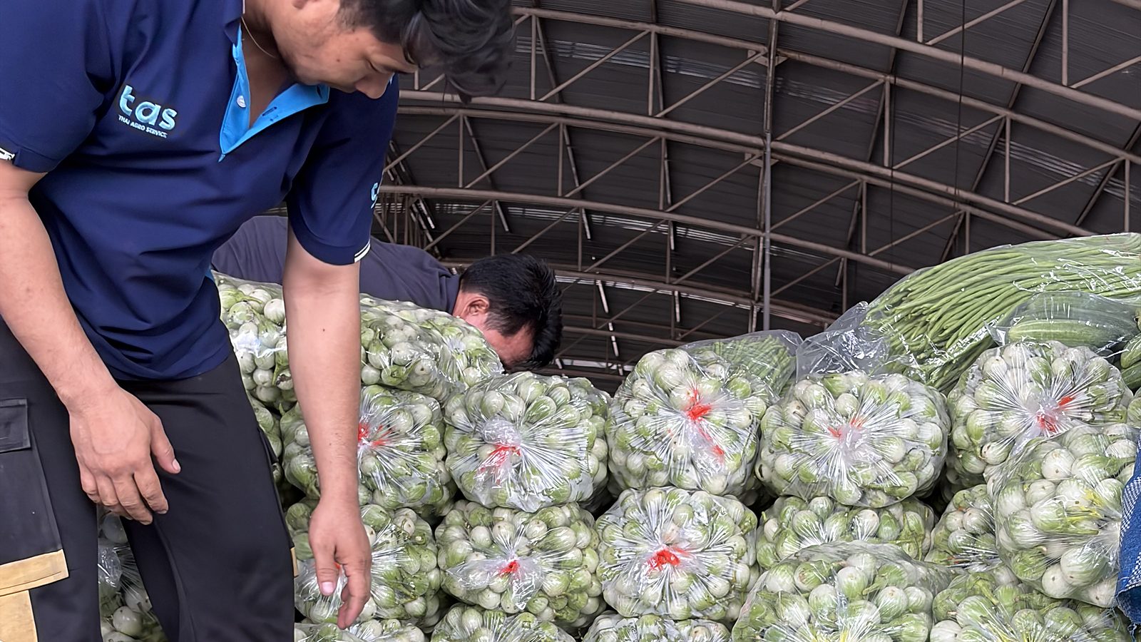 タイ現地市場での野菜の積み込み作業
