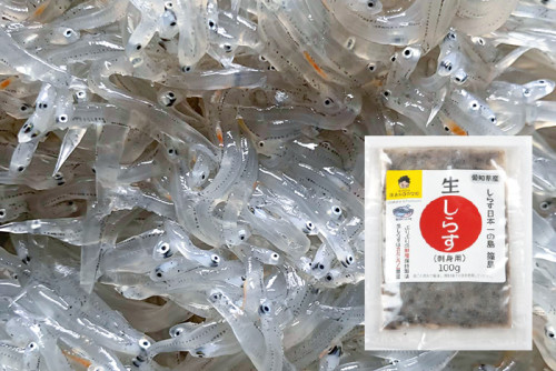 刺身用冷凍生しらす