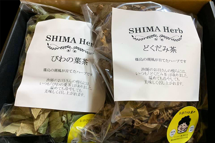 【随時受付中】島ハーブ盛り上げ隊活動・体験募集！