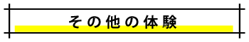 その他の体験.png