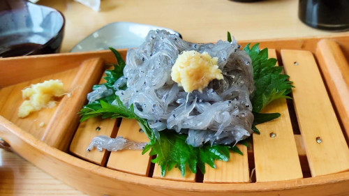 生しらす.jpg