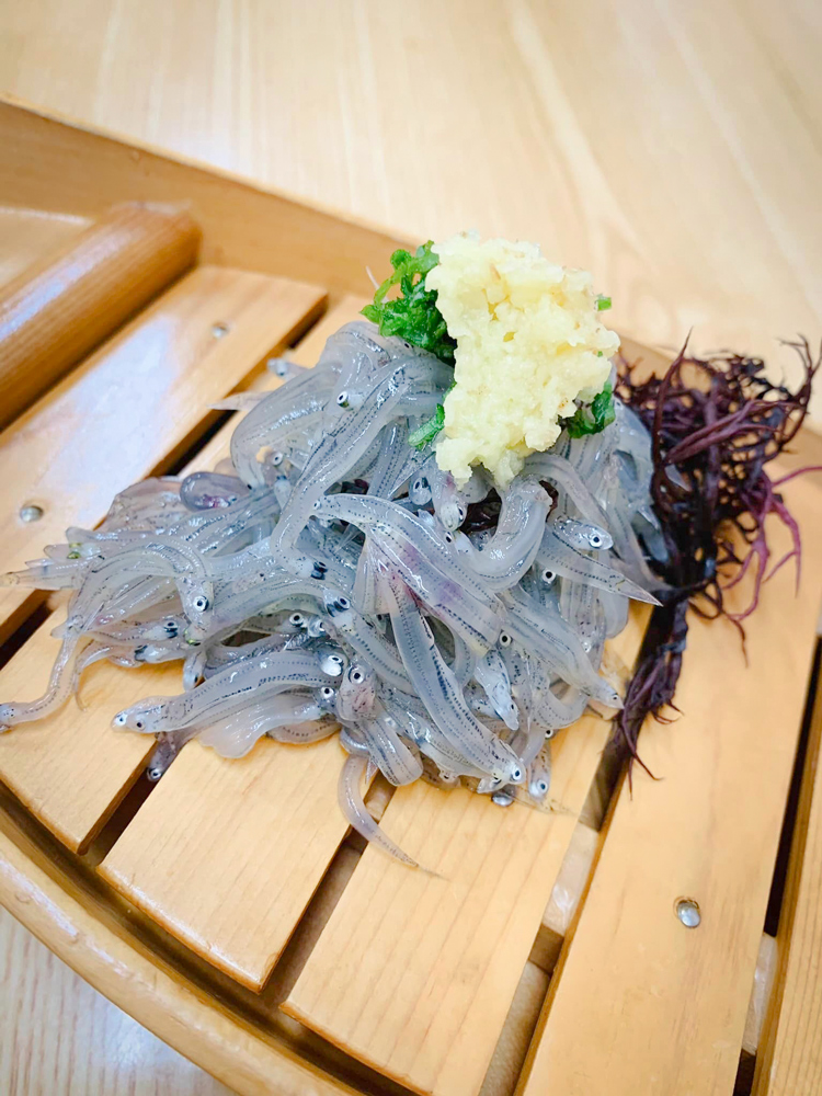  【＆しらす食堂2929】美味しい生しらすを食べるなら、今です！