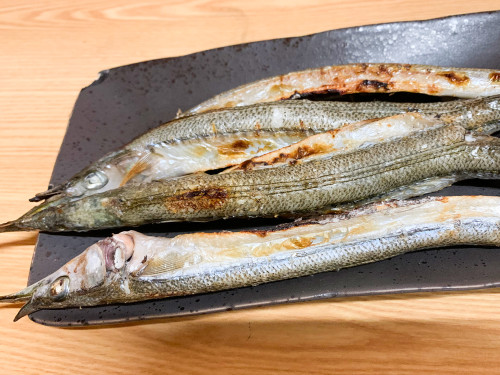 202405osakana_p04.jpg