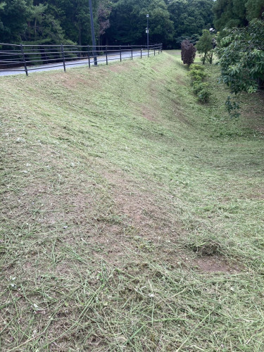 S__215670798_0.jpg