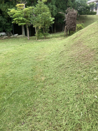 S__215670800_0.jpg