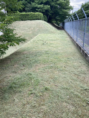 S__215670806_0.jpg
