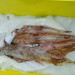 IMG20230224150248.jpg