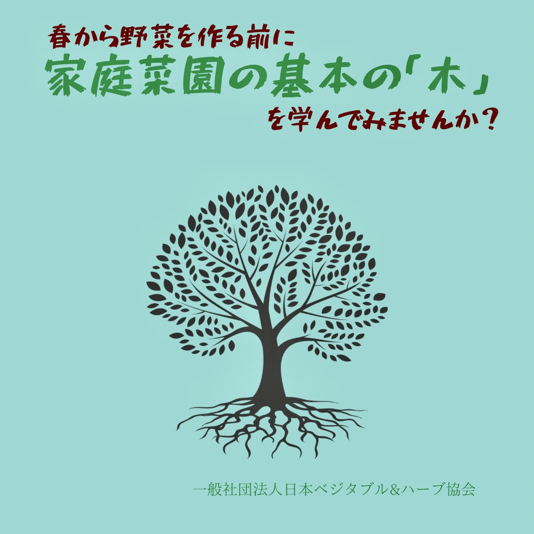 今から準備！！　「家庭菜園の基本の木」を学ぼう！