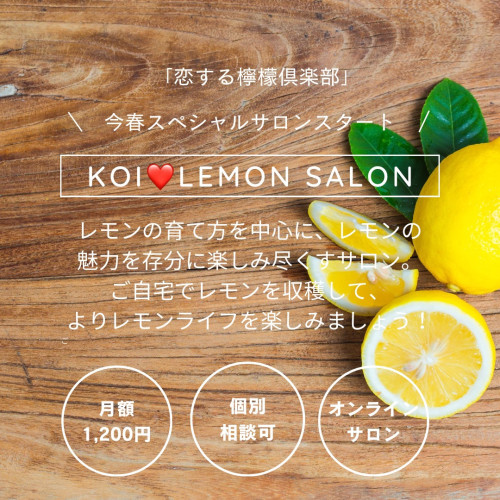 「恋する檸檬倶楽部」スペシャルサロン「KOI❤️LEMO SALON」