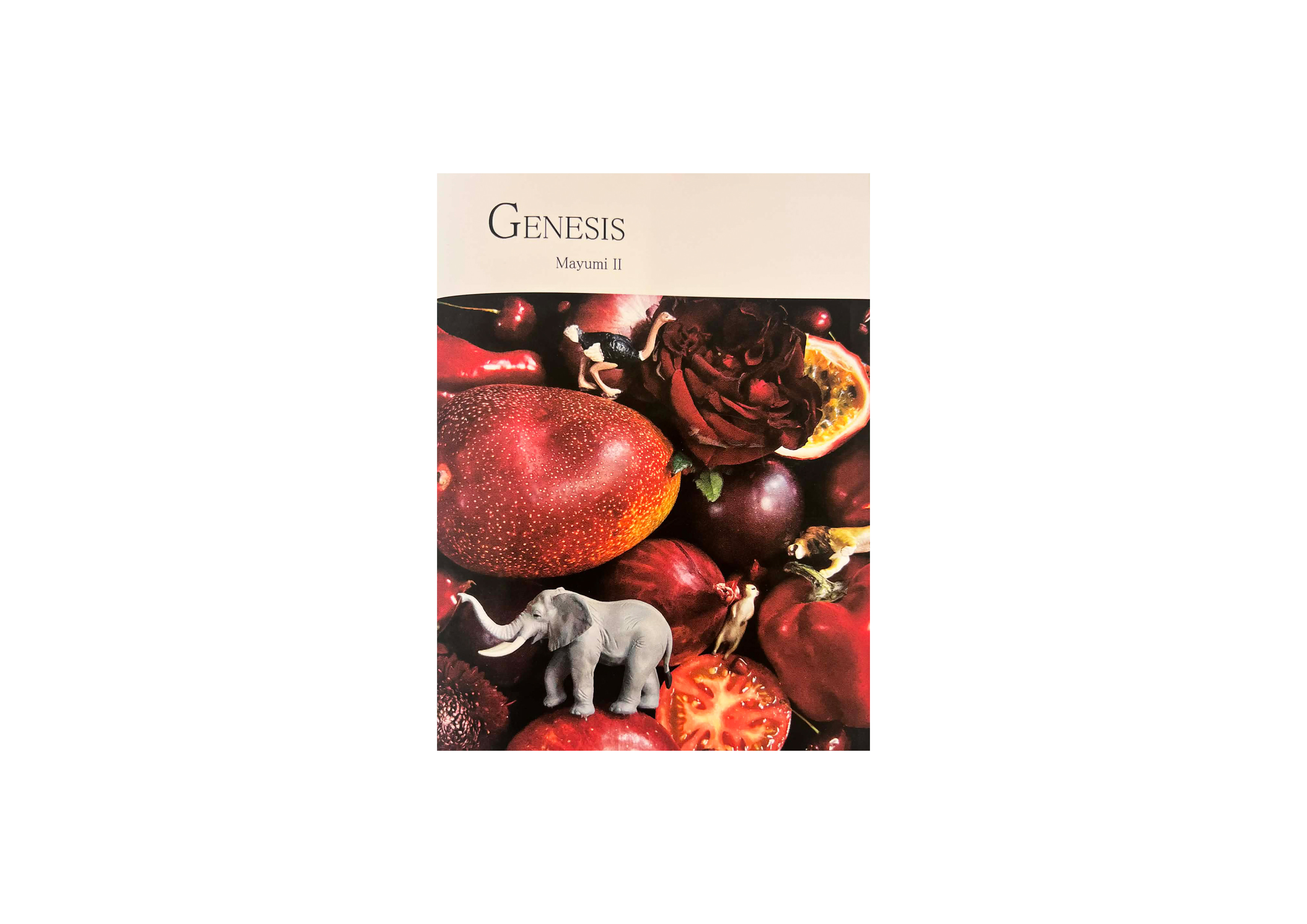 名称未設定 1.jpg