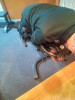 DSC_1647.jpg