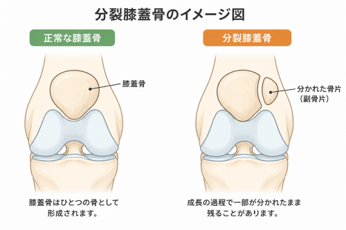 ChatGPT Image 2026年9月2日 19_48_33.png