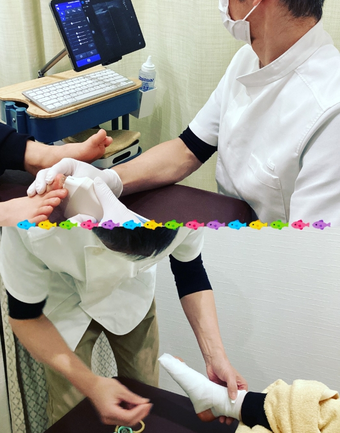 スクリーンショット_17-9-2026_173717_www.instagram.com.jpeg