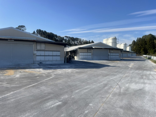 1670454815000.jpg