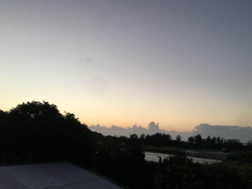 IMG-0978.JPG