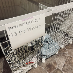 IMG_3461.jpeg