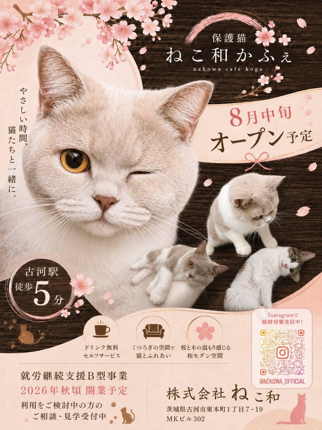 保護猫の猫カフェだよ