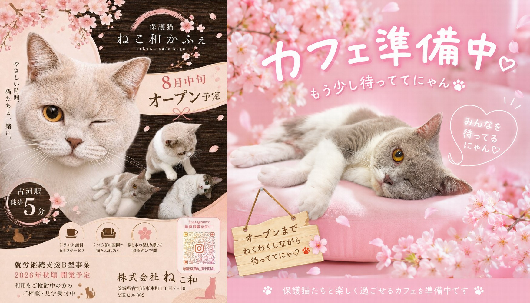 保護猫の猫カフェだよ😽