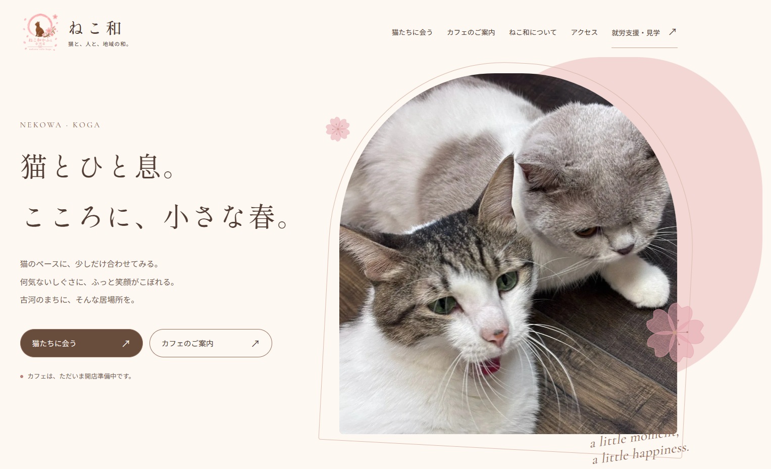 いよいよオープン　ねこ和｜古河の保護猫カフェ・就労継続支援B型　