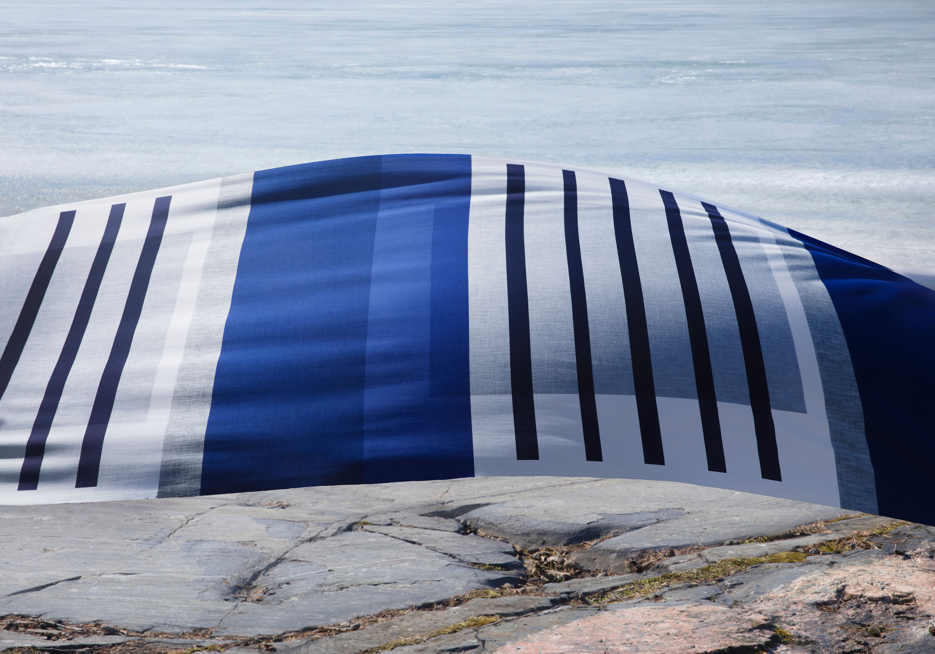 _E6A3793+60 -1_HP用.jpg