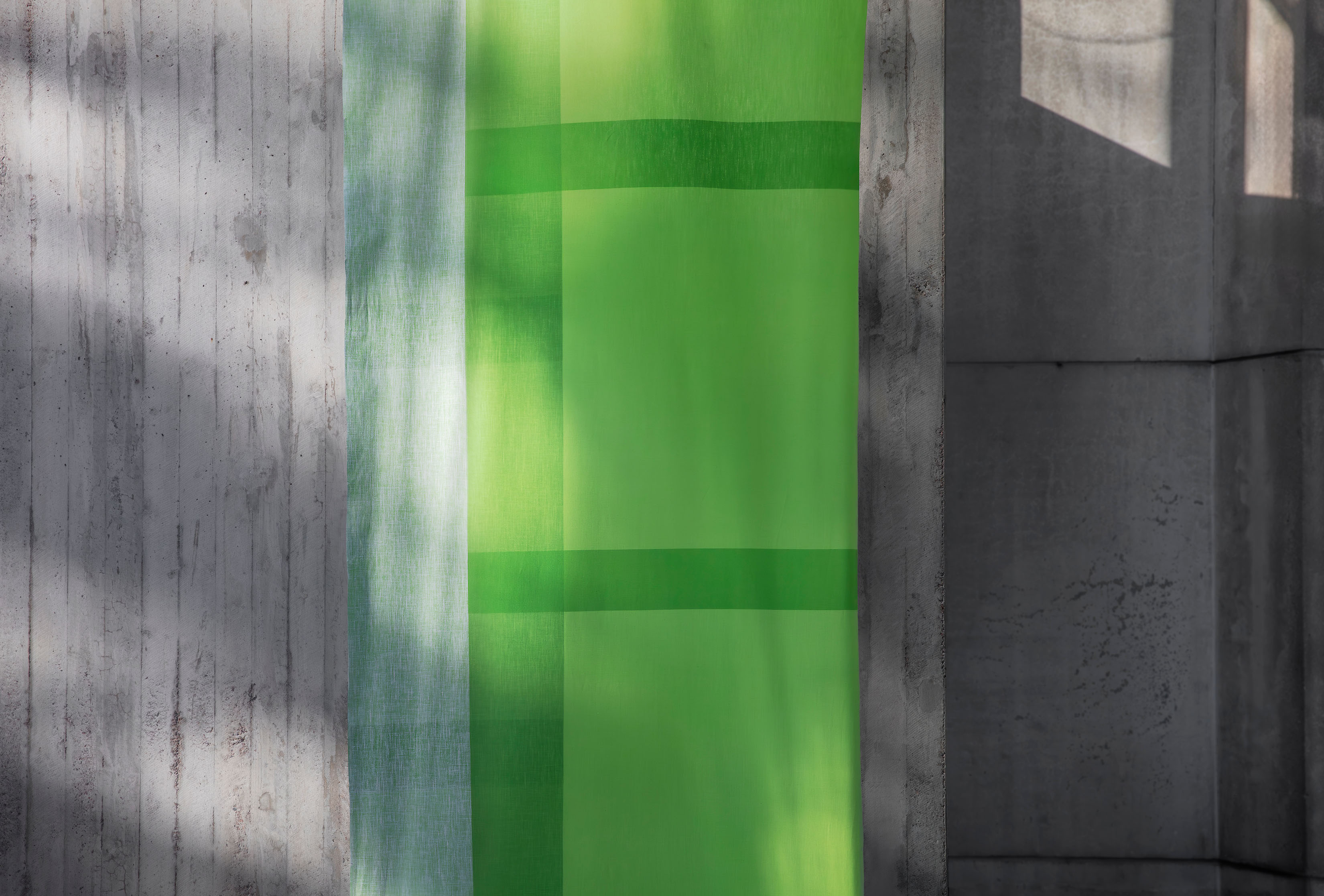 _E6A3937+46+back 49ok-6_補正_HP用.jpg