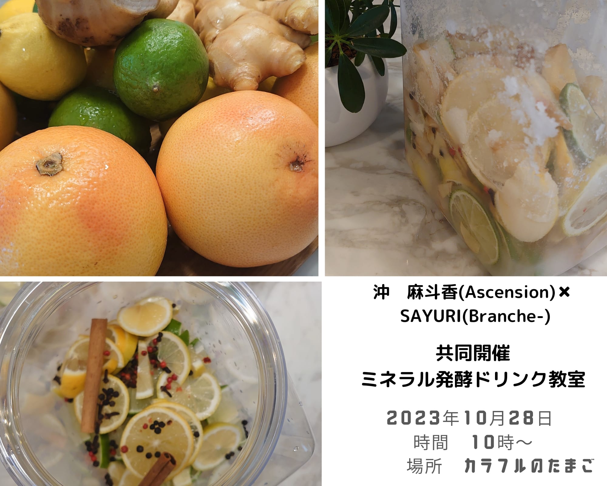 ミネラル発酵ドリンク教室