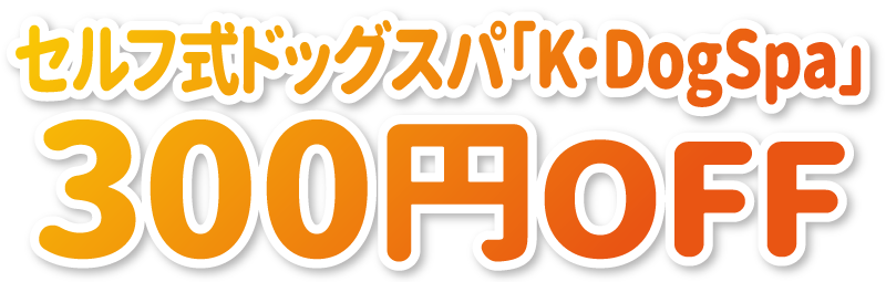 2501文字