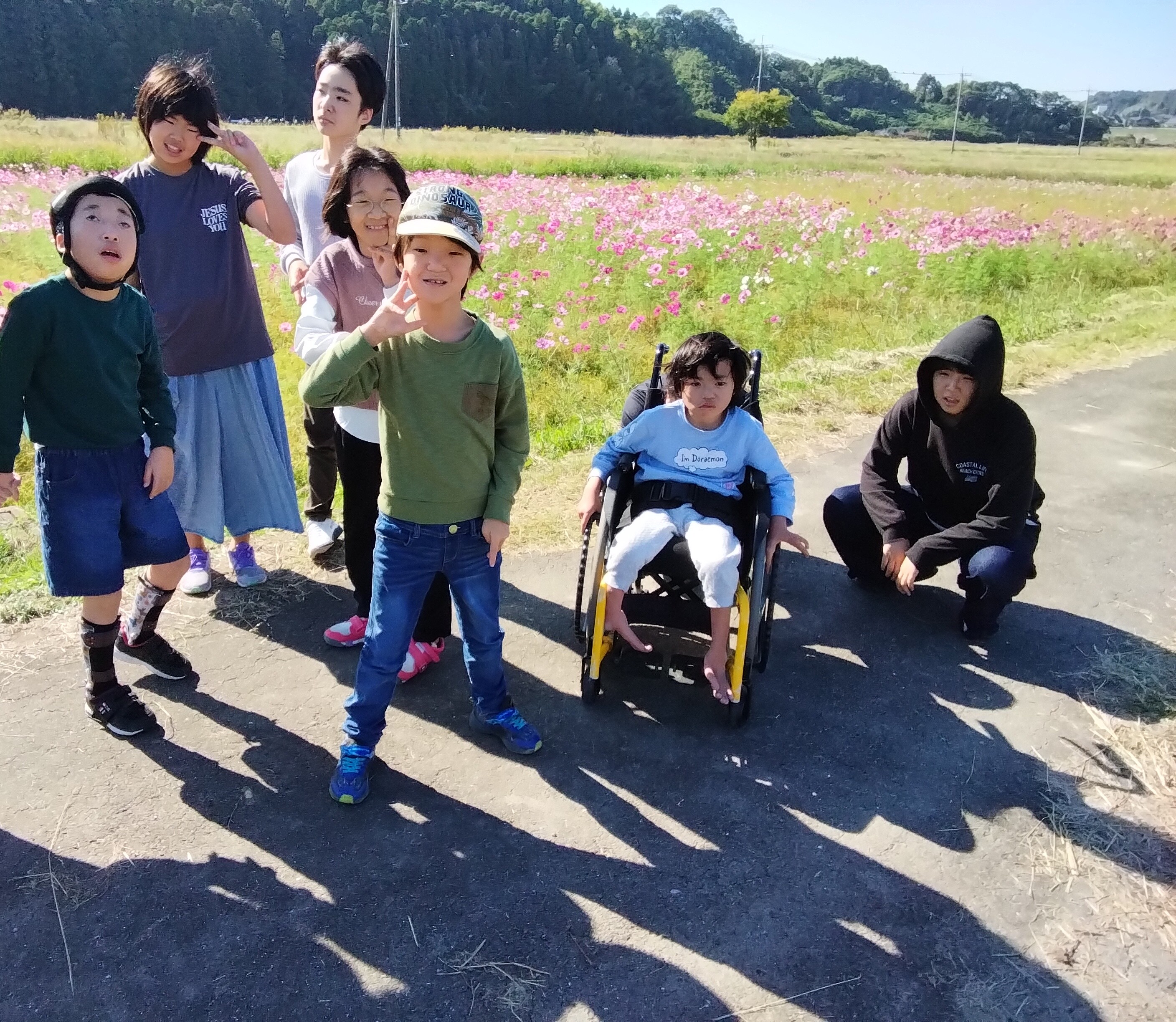 コスモスを見に行きました！