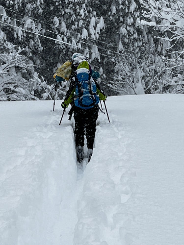 アルビレオ雪到着.jpg