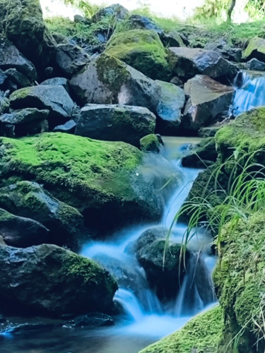グリーン企画第2弾_八ヶ岳登山流れ_230829_1.jpg