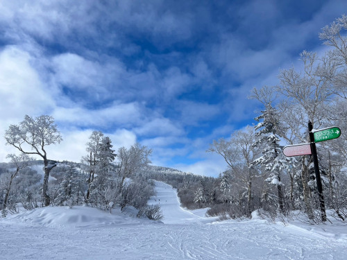 写真_250202_1.jpg