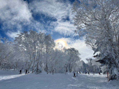 写真_250202_2.jpg