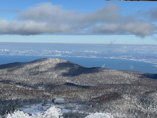 写真_250202_3.jpg