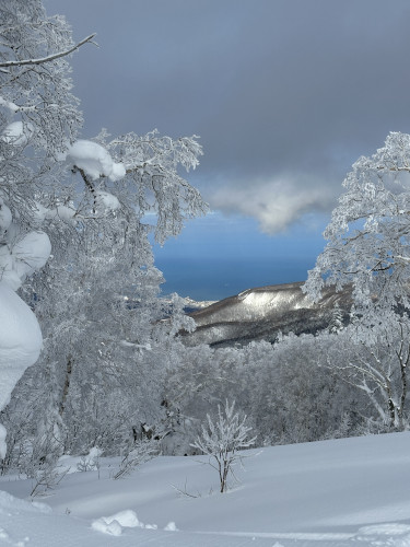 写真_250202_4.jpg