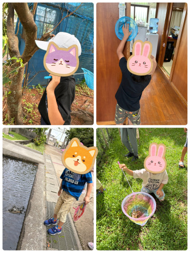 line_oa_chat_260831_132238.jpg