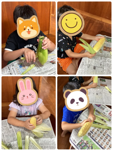 line_oa_chat_260924_113208.jpg