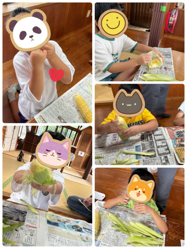 line_oa_chat_260924_113205.jpg