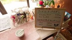 DSC_0810.JPG