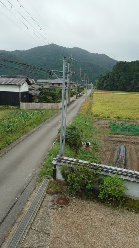 遅い秋がやっときました