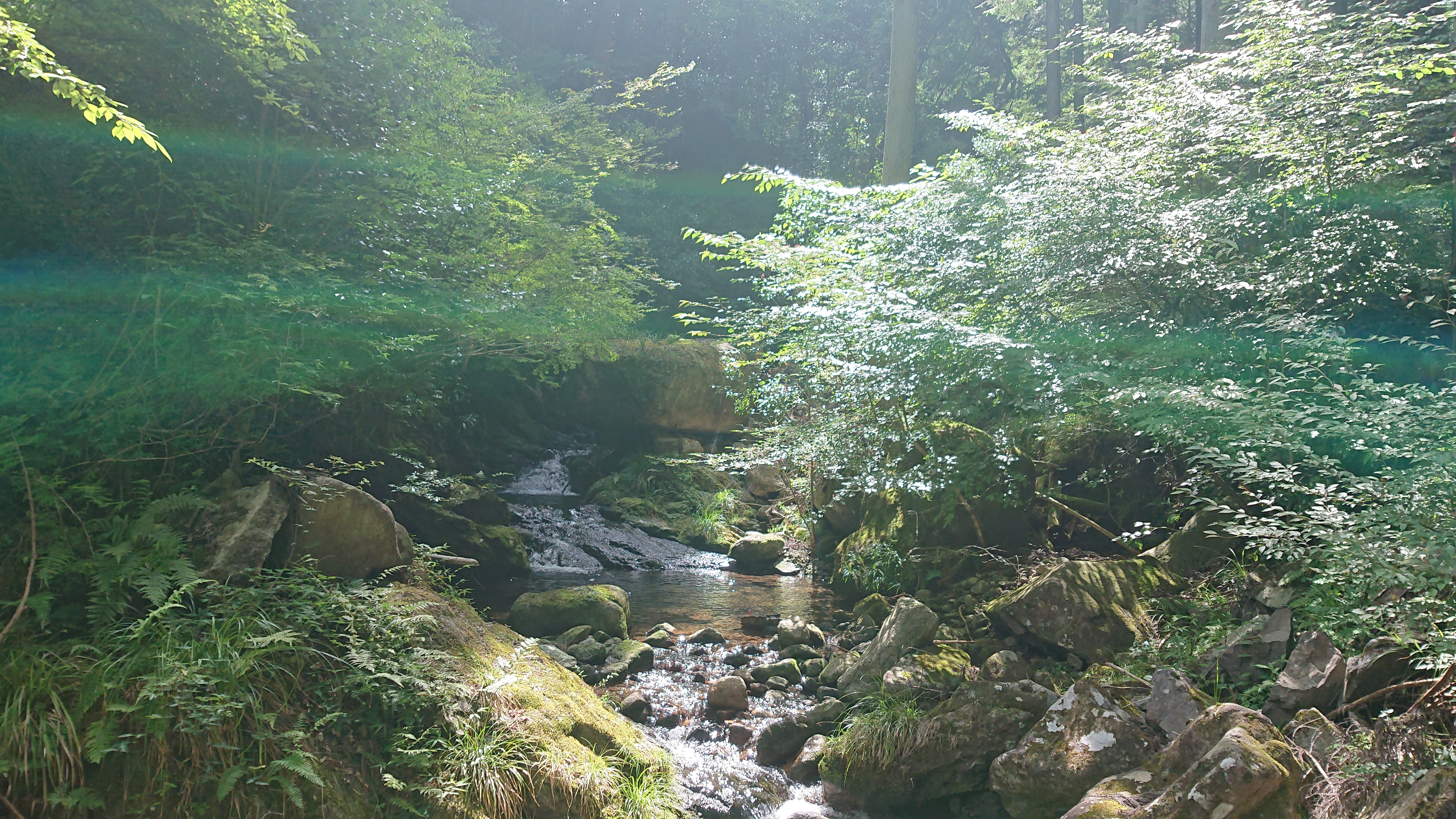 DSC_2096.JPG