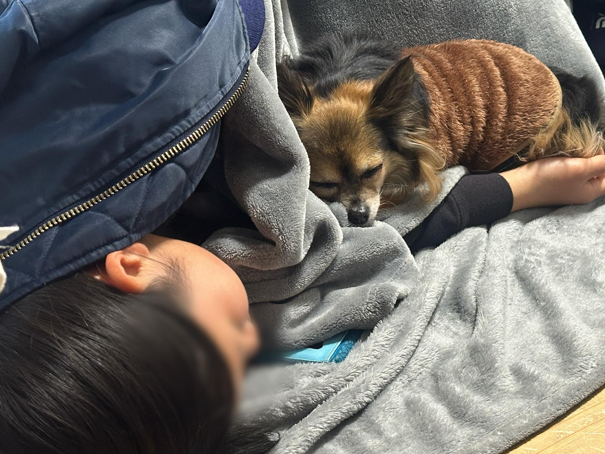 わが家の愛犬🐕ᯓ