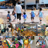 IMG_6782.jpeg