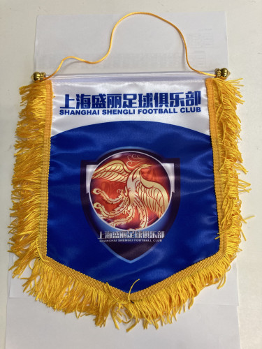 上海U16女子足球队とのトレーニングマッチ 一般社団法人 備後府中スポーツクラブ スフィーダ備後府中