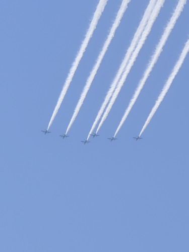 20250426_120437.jpg