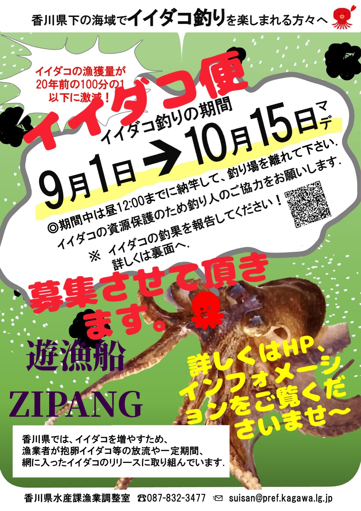 イイダコ便　募集中‼️
